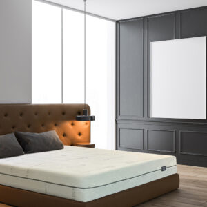 Paderna 12" ReCharge Mattress